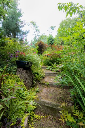 Medium property photo - Patersweg 9, 5951 NC Belfeld